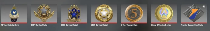 CS764 Prime enabled, 7 Medals: Service 2021, 2022 (3lvl), 2025, 10 Year Birthday, 5 Year Veteran, GO Badge, Premier Season One, Premier ready