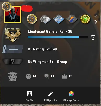 CS765 Prime, 9 Medals: Premier Season One, Two, Three, Service 2020, 2021 (2lvl), 2022, 2025 (2lvl), 5 Year Veteran, GO Badge, Faceit linked