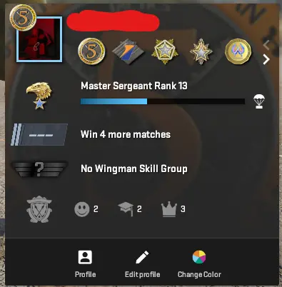 CS766 Prime, 7 Medals: Service 2022, 2023, 2024, Premier Season One, 5 Year Veteran, 10 Year Birthday, GO Badge, 776 Hours