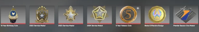 CS766 Prime, 7 Medals: Service 2022, 2023, 2024, Premier Season One, 5 Year Veteran, 10 Year Birthday, GO Badge, 776 Hours