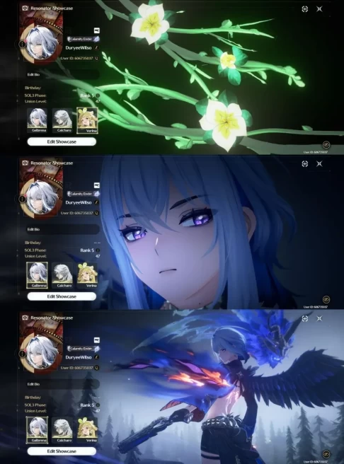 All Platform - EU - Union47 - 18 Character 6 5'Star - 3 Weapon 5'Star - Galbrena - Signature - Verina - 1611