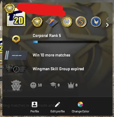 CS767 Prime, 7 Medals: Service 2022, 2025, Premier Season One, 10 Year Birthday, Loyalty Badge, 5 Year Veteran, GO Badge, 1466 Hours