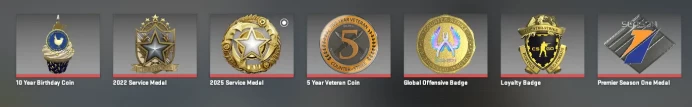 CS767 Prime, 7 Medals: Service 2022, 2025, Premier Season One, 10 Year Birthday, Loyalty Badge, 5 Year Veteran, GO Badge, 1466 Hours