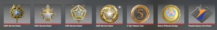 CS769 Prime, 7 Medals: Service 2020, 2023, 2024, 2025, Premier Season One, 5 Year Veteran, GO Badge, 1307 Hours, Faceit Linked(No Access)