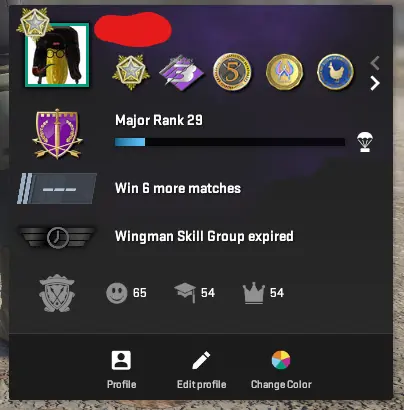 CS771 Prime, 8 Medals: Service 2020 (2lvl), 2021 (2lvl), 2024, 10 Year Birthday, Silver Riptide, Premier Season Three, 5 Year Veteran, GO Badge