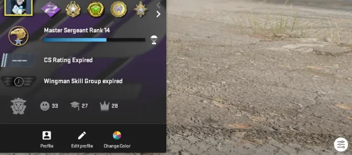 CS773 Prime, 25K CS RATING,  7 Medals: Premier Season Two Medal (purple, 410 wins), 10 Year Birthday Coin, Global Offensive Badge, 2022, 2023