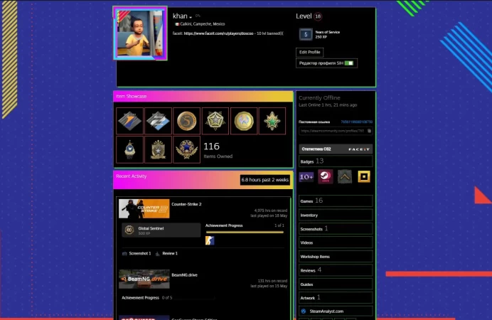 CS777 Prime enabled, 4975 Hours, 10 Medals including 5 years veteran, Steam level 18, 16 paid Games