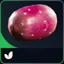 10 prickly pear