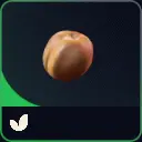 10 apricot
