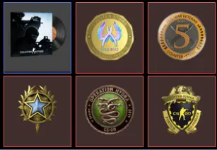 14 Level Steam_ +other games _Operation Hydra Challenge,2020 Service,Global, Loyalty Badge, 5Y_935 hrs _no access to email (read description)