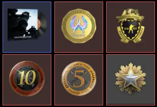 8 Level Steam_ +10 other games _2016 Service,Global,10Y, Loyalty Badge, 5Y_346 hrs _no access to email (read description)