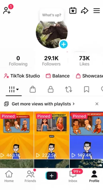 English Content/ Monetized 29K Real Followers+73K Real Likes Account/ Creator Rewards Program Activated/ Live Stream/ Full Access