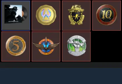 25 other games_24 Level Steam_ Vanguard Challenge ,SilverBreakout, 10Y,5Y,Loyalty,Global_860hrs_no access to email (read description)