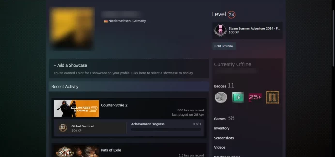 25 other games_24 Level Steam_ Vanguard Challenge ,SilverBreakout, 10Y,5Y,Loyalty,Global_860hrs_no access to email (read description)