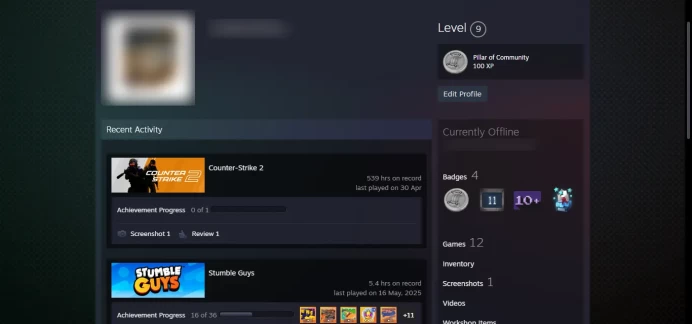 10+ other games(100+ dol )_9 Level Steam_2016,2020,10Y,5Y,Loyalty,Global_539hrs_no access to email (read description)