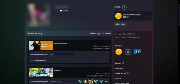 8 Level Steam_Wildfire,2016,2017,10Y,5Y,Loyalty,Global_1084hrs_no access to email (read description)