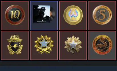 8 Level Steam_Wildfire,2016,2017,10Y,5Y,Loyalty,Global_1084hrs_no access to email (read description)