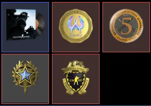 7 Level Steam_2020,5Y,Loyalty,Global_325hrs_no access to email (read description)