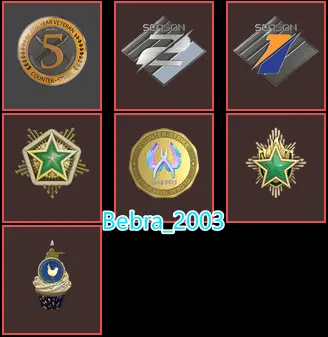 CS2 Prime 1301 hours+7Medals(10 Year Birthday/2023-2024 Service Medal/Premier Season One Medal-Two Medal/5Y/Off Badge)