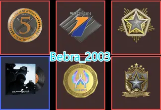 CS2 Prime 735 hours+5Medals(2022-2024 Service Medal/Premier Season One Medal/5Y/Global Offensive Badge)