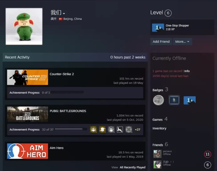 CS2 Prime 101 hours+2Medals(5 Year Veteran Coin/Global Offensive Badge)-China