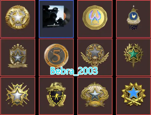 CS2 Prime 2053 hours+11Medals(2017-2018-2019-2020-2021-2022-2025 Service Medal/10 Year Birthday/5Y/Loyalty Badge/Off Badge)