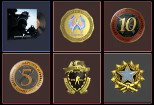 8 Level Steam_2017,10Y,5Y,Loyalty,Global_377hrs_no access to email (read description)