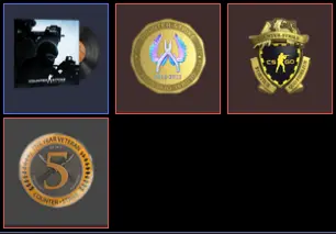5Y,Loyalty,Global_43 hrs_no access to email (read description)