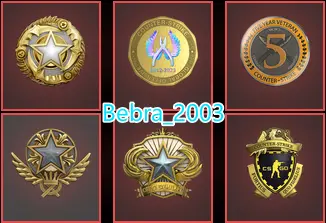 12Game-CS2 Prime 624 hours+6Medals(2018-2021-2025 Service Medal/5Y/Loyalty Badge/Global Offensive Badge)