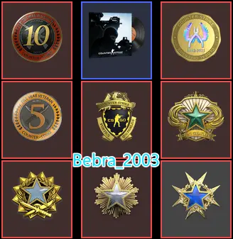 CS2 Prime 3474 hours+8Medals(2015-2016-2017-2018 Service Medal/10Y/5Y/Loyalty Badge/Global Offensive Badge)