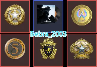 Steam Paid games 63 Game-CS2 Prime 513 hours+5Medals(2018-2025 Service Medal/5Y/Loyalty Badge/Global Offensive Badge)