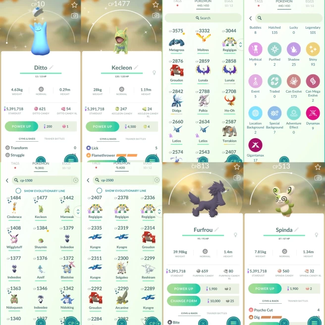 2282 Level 70 Shiny Moltres Valor BG Shiny Kyurem Shiny Giratina Shiny Mime Jr. Shiny Tyrogue