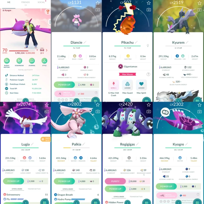 2284 Level 70 Dialga100 Xerneas100 Shiny GMax Pikachu Shiny Metagross Shiny Shadow Regigigas Shiny Meltan