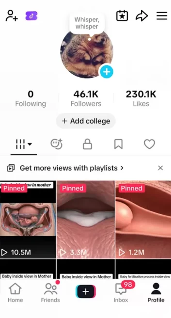 English Content/ USA Monetized 46K Real Followers+230K Real Likes Account/ Creator Rewards Program Activated/ Live Stream/ Full Access