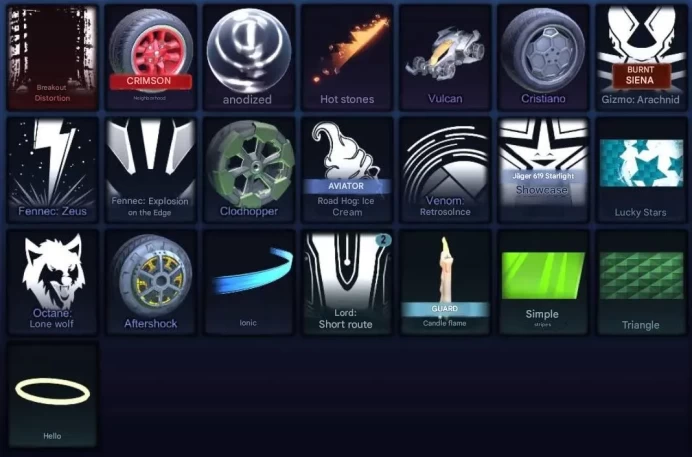 RL251 //Account with 2 Fennec, BM + 39 FN SKINS //67 LVL // Full access (K)