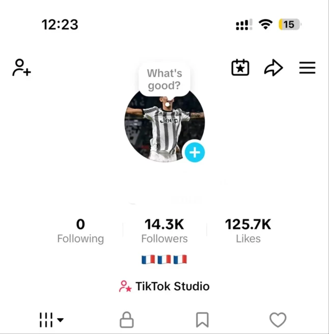 France Monetized Account Creator Rewards Program Active | 14.3k Real Followers & 125k Likes | Live Acess+ Full Access + Acc in Good Standing