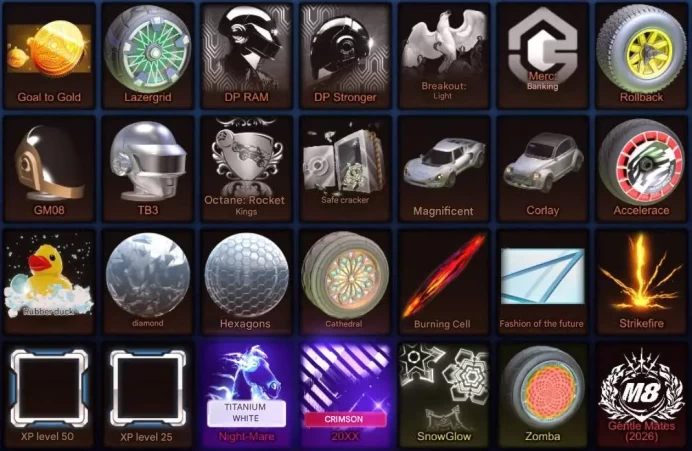 RL256 // ACCOUNT WITH  Fennec Black, Havoc, 2 BM + inventory + 52 LVL + FN 47 Skins (K)