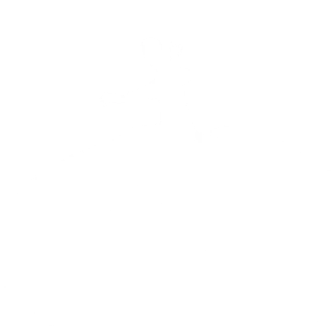 #21578 Emote Batman's Surveillance 300 VB (All Platforms)