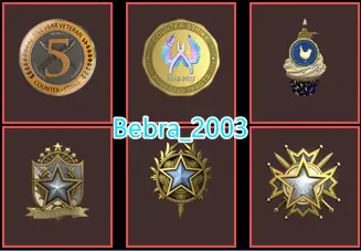 CS2 Prime 1637 hours+6Medals(2019-2020-2022 Service Medal/10 Year Birthday Coin/5Y/Global Offensive Badge)