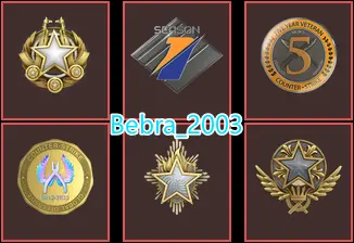 16Game-20 LVL Steam-CS2 Prime+6Medals(2021-2023-2025 Service Medal/5Y/Premier Season One Medal/Global Offensive Badge)