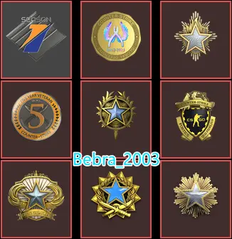 CS2 Prime 2259 hours+9Medals(2016-2017-2018-2020-2023 Service Medal/Premier Season One Medal/5Y/Loyalty Badge/Global Off Badge)