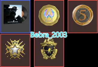 CS2 Prime 1349 hours+4Medals(2019 Service Medal/Loyalty Badge/5Y/Global Offensive Badge)