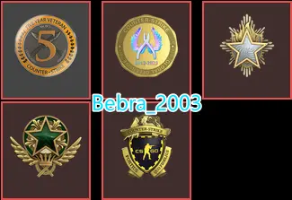 23 Lvl Steam-CS2 Prime 1226 hours+5Medals(2021-2023 Service Medal/5Y/Loyalty Badge/Global Offensive Badge)