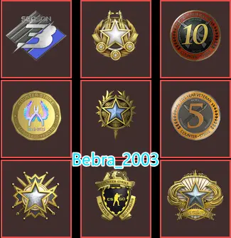 22Game-CS2 Prime 1516 hours+9Medals(2018-2019-2020-2026 Service Medal/10Y/5Y/Premier Season Three Medal/Loyalty Badge/Off Badge)