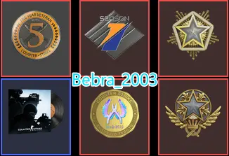 CS2 Prime 523 hours+5Medals(2021-2024 Service Medal/5Y/Premier Season One Medal/Global Offensive Badge)