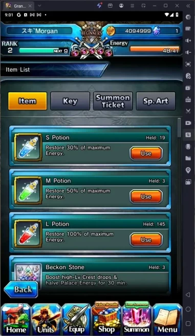 Global | Rank 2|5 True Weapons (Houka Inumuta Lv120 TW, Youmu Konpaku Lv120 TW,Etc)|145 L Potions | Detail Check SS GS334B
