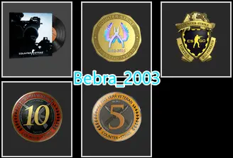 10 Lvl Steam-18Game-CS2 Prime+4Medals(10Y/5Y/Loyalty Badge/Global Offensive Badge)+17 Years of Service Steam