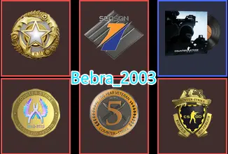 Rust-CS2 Prime 339 hours+4Medals(2025 Service Medal/Premier Season One Medal/5Y/Loyalty Badge/Off Badge)