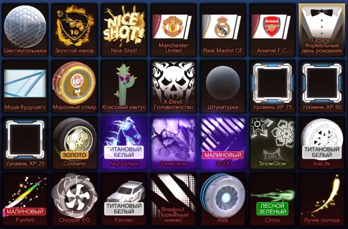 STOCK425 // PC Rocket League Account with TW FENNEC, BM + 98 LVL