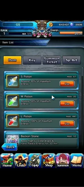 Global|Rank 1|2938 cc Ready Gacha|2 Ascend| Summer Miyu,Chloe |Lpot 441 30 RGB|Check SS(GS2685)